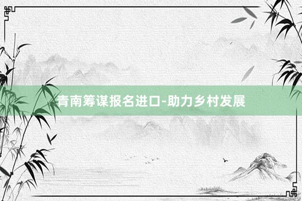 青南筹谋报名进口-助力乡村发展