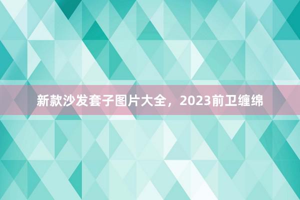 新款沙发套子图片大全，2023前卫缠绵