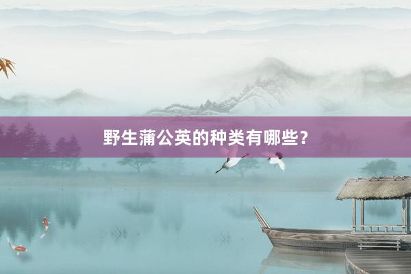 野生蒲公英的种类有哪些？