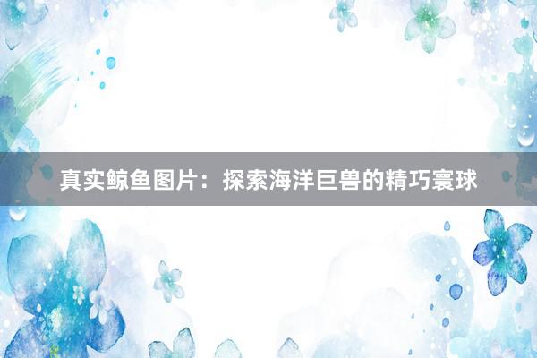 真实鲸鱼图片：探索海洋巨兽的精巧寰球